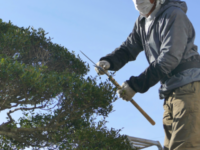 剪定のこだわりイメージ01