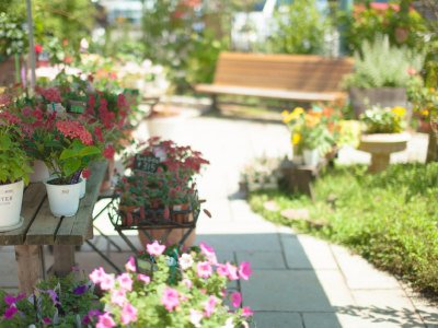 剪定のこだわりイメージ02